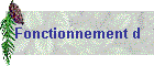 Fonctionnement d