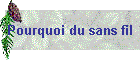 Pourquoi du sans fil