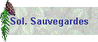 Sol. Sauvegardes